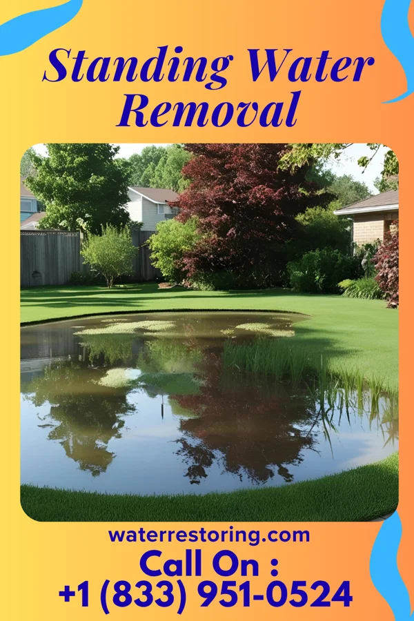 Standing Water Removal in Emporium, PA